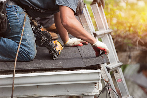 Best Roof Gutter Cleaning  in Crouch Mesa, NM